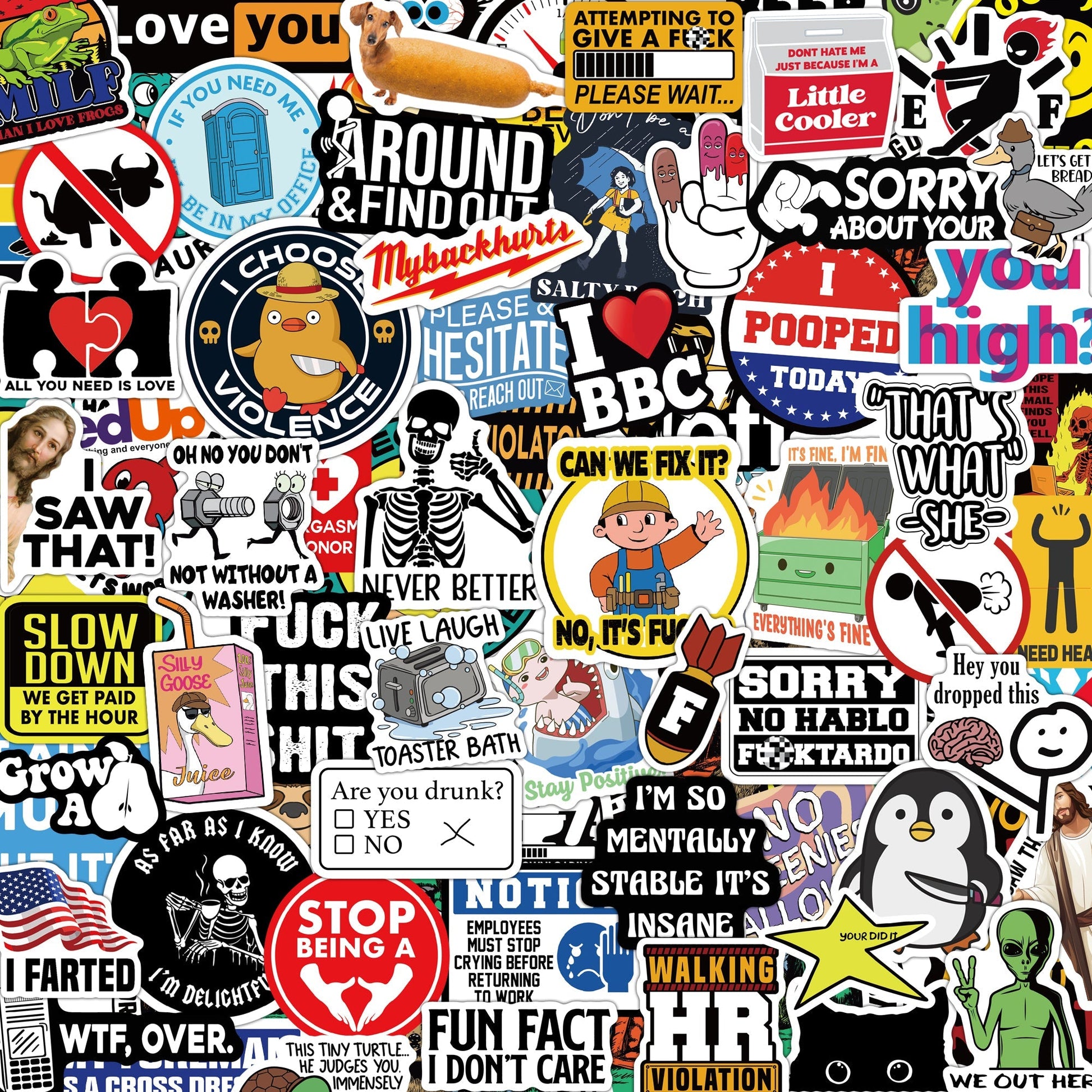 100-200 PCS Funny Stickers for Adults