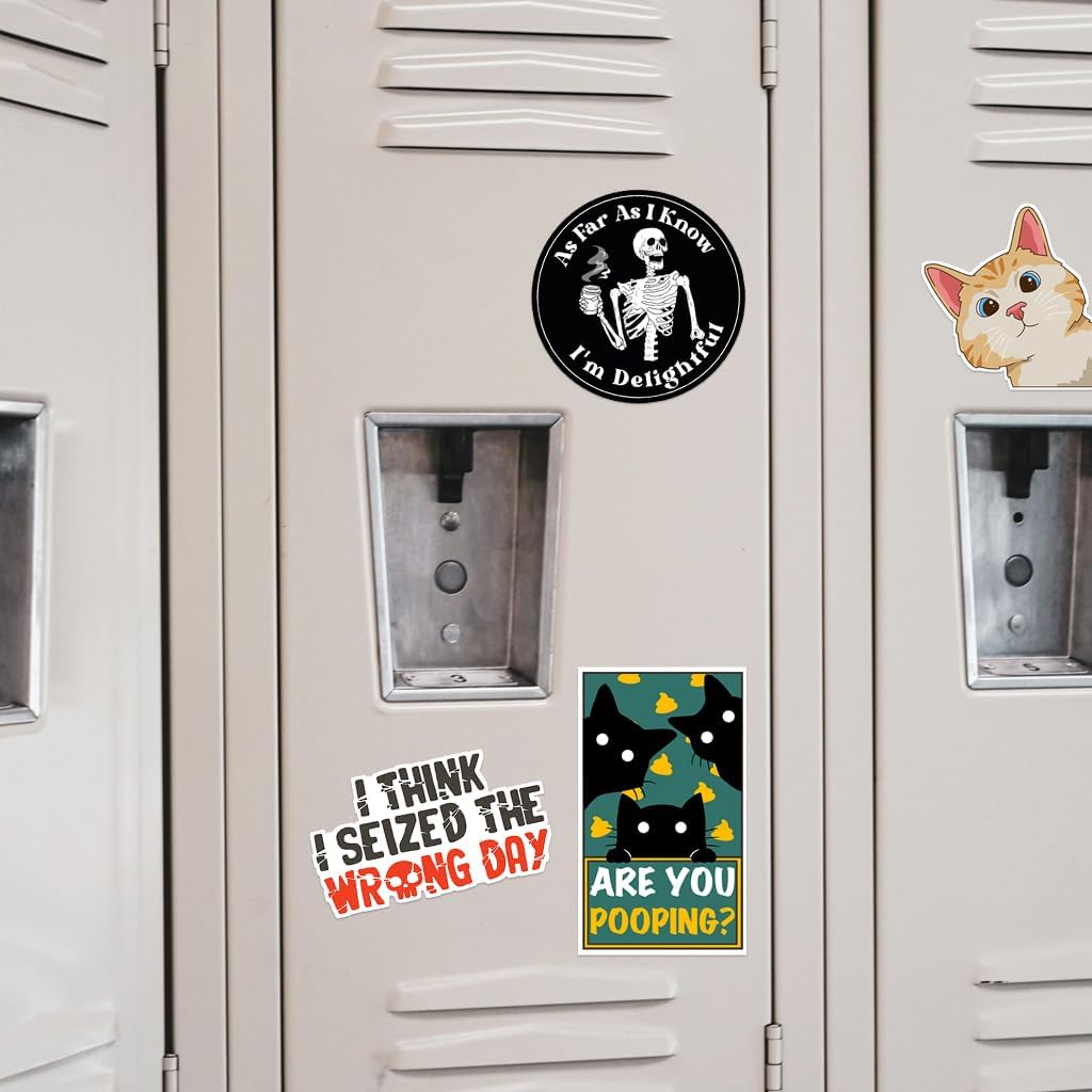 123PCS Stickers Pack, Bulk Sarcastic Vinyl Waterproof