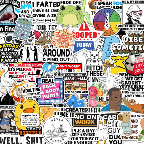 100 PCS Sarcastic Stickers for Adults