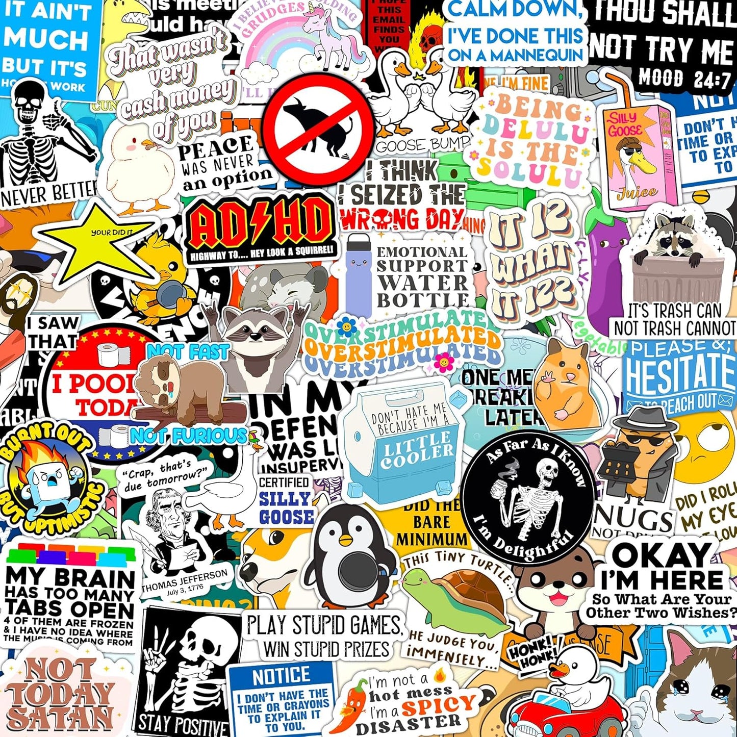 123PCS Stickers Pack, Bulk Sarcastic Vinyl Waterproof