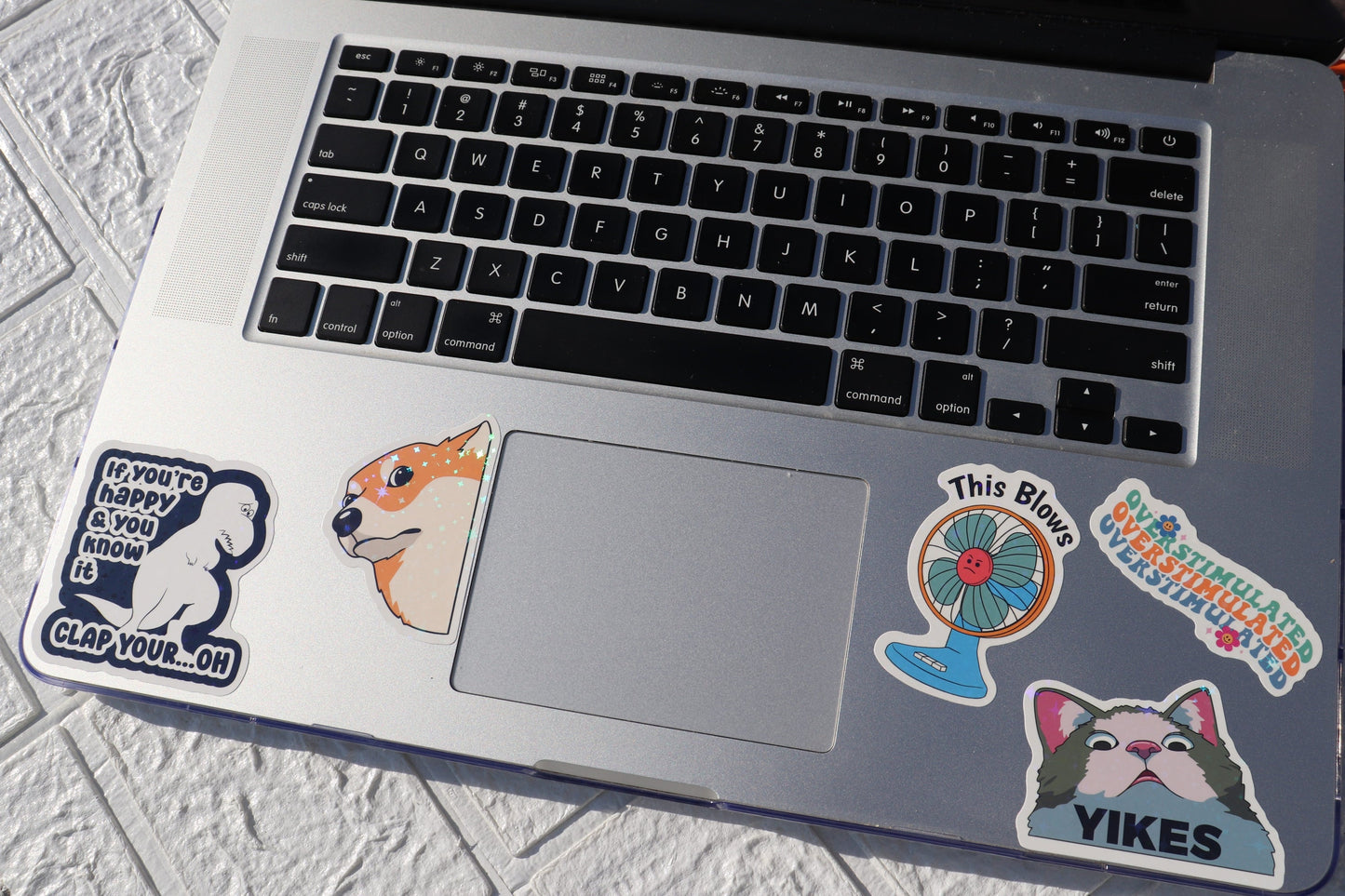 225PCS Funny Holographic Stickers, Waterproof